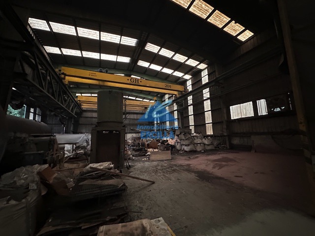 Nave industrial en alquiler con grúas para 20 Tm